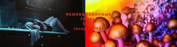 ешки Абаза