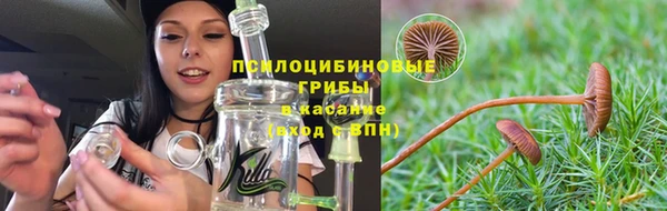 ешки Абаза