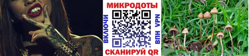 Галлюциногенные грибы Magic Shrooms наркотики блэк спрут зеркало Скопин